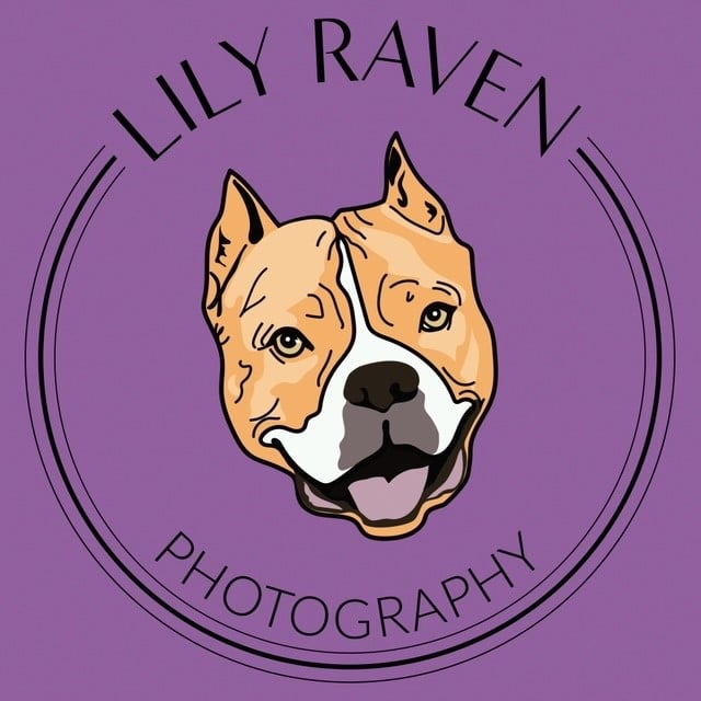 Lily Raven Photography
